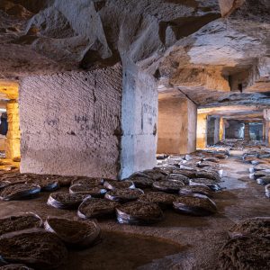 Champignonnière en sacs - Carrière de calcaire